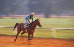 One-Mile-Track,-Aiken,-SC,-USA