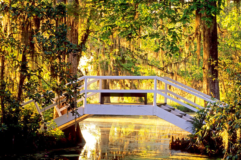 Footbridge,-Magnolia-Gardens,-near-Charleston,-SC,-USA