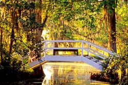 Footbridge,-Magnolia-Gardens,-near-Charleston,-SC,-USA