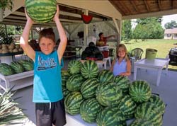 Grandma's-Produce-east-of-Pageland,-SC,-USA