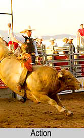 Rodeo, Santa Fe, New Mexico